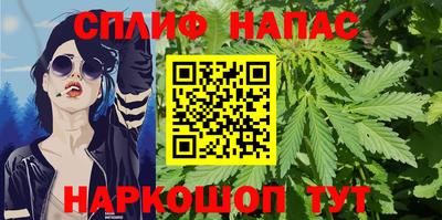 сатива Моздок