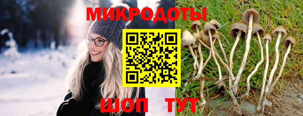 Галлюциногенные грибы ЛСД Самара